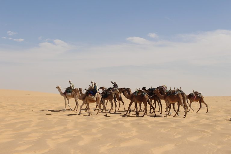 Exploring CHAD: A Comprehensive Chad Travel Guide for Adventurers