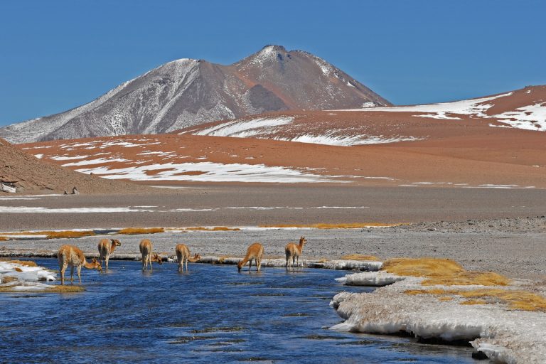 Exploring CHILE: A Comprehensive Chile Travel Guide for Adventurers