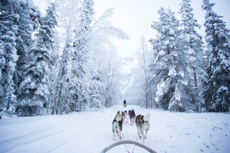 Fascinating FINLAND: Your Ultimate Finland Travel Guide